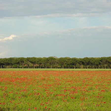 Appartamenti Alaska Bibione Dış mekan fotoğraf